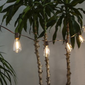 China Supply Outdoor LED Bulb String Lights for Home Garden Decoration | ZHONGXIN