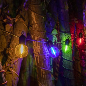 https://www.zhongxinlighting.com/15ft-christmas-lights-g60-bulb-led-string-lights.html